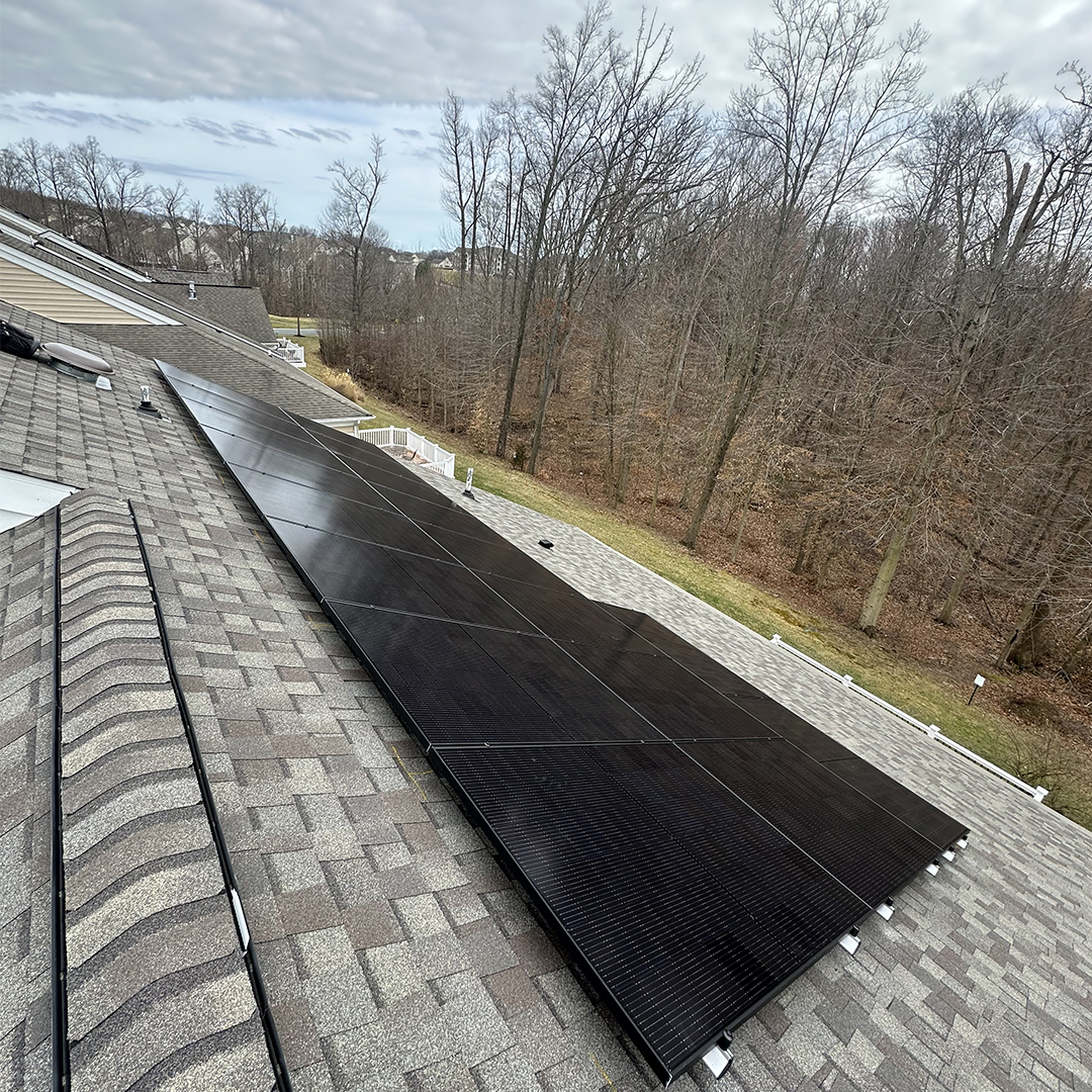 Solar Panel Install - Onley MD 20832 Montgomery County - Woods